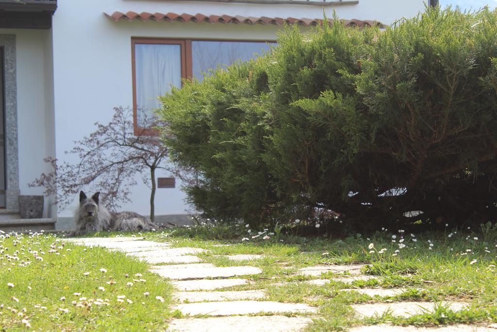 Il Bogno B&B Lierna Extérieur photo
