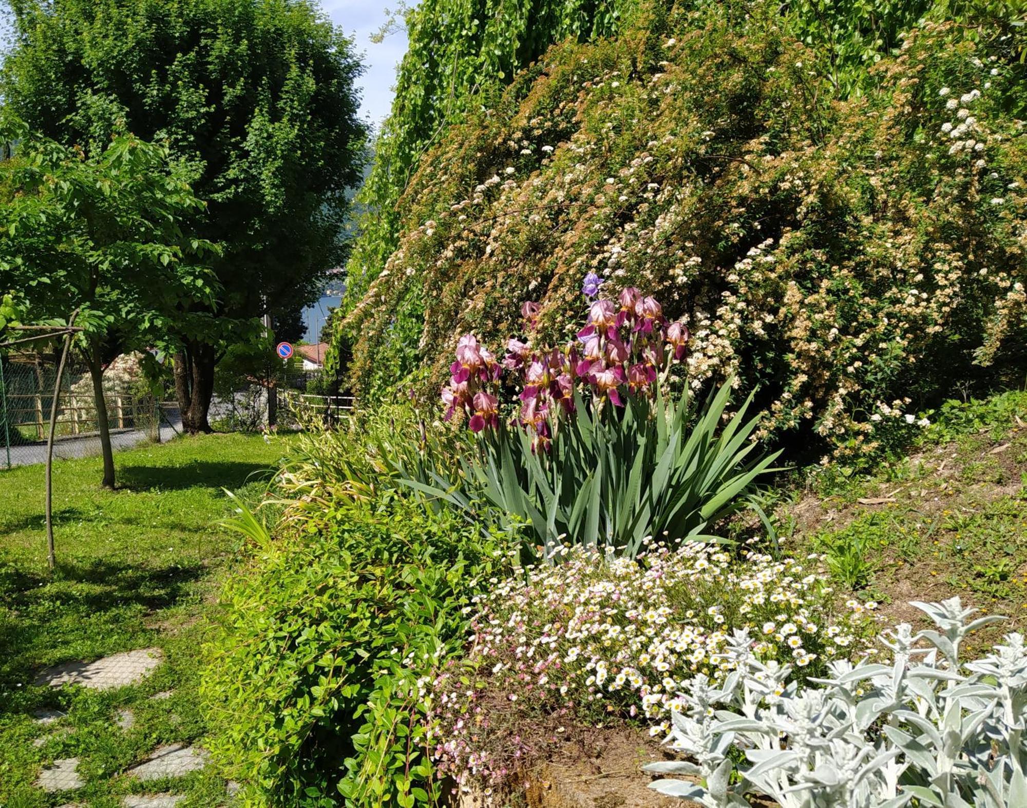 Il Bogno B&B Lierna Extérieur photo