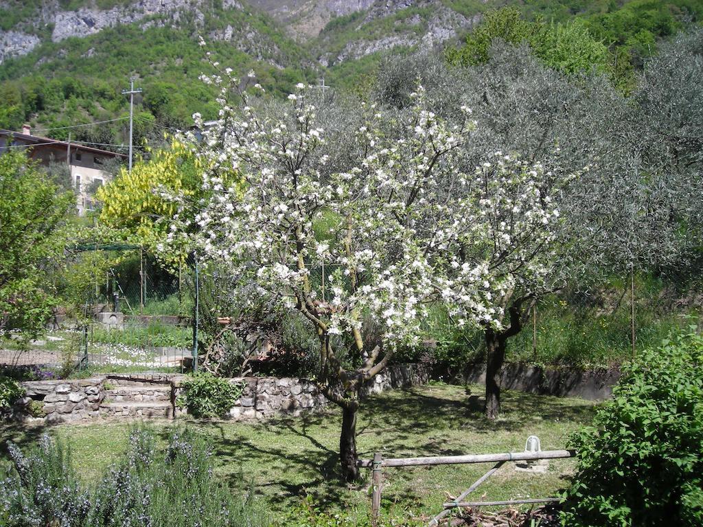 Il Bogno B&B Lierna Extérieur photo